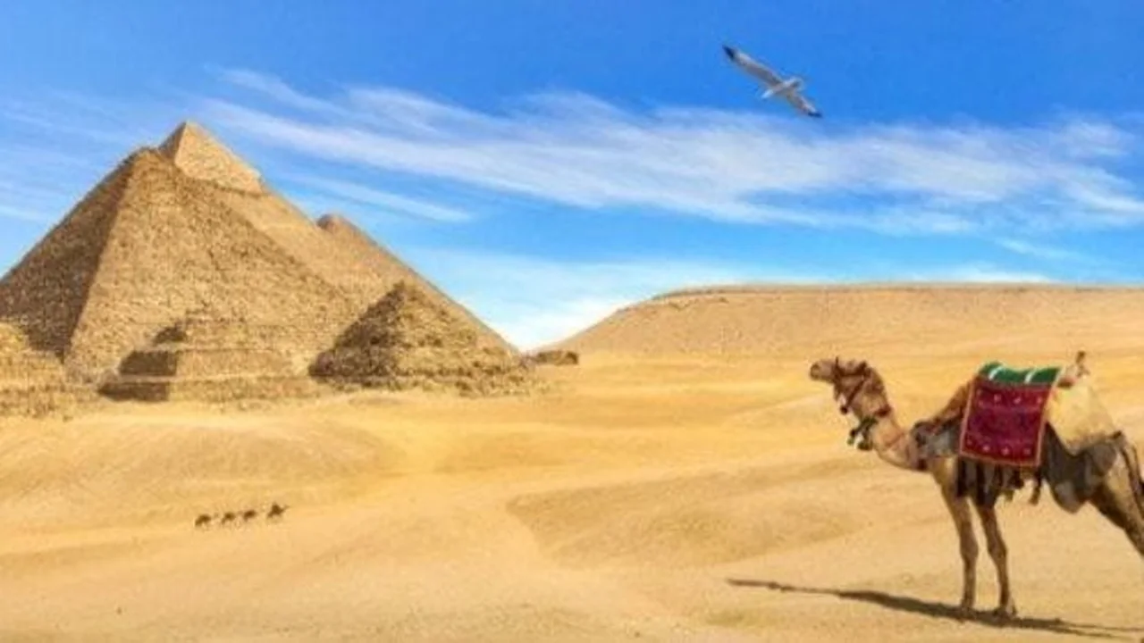 ترويج سياحي مبتكر يجمع بين سيوة وسانت كاترين في مصر